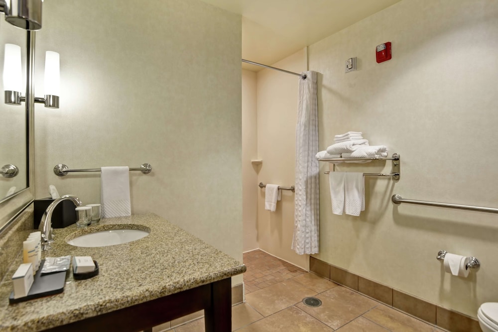 Embassy Suites By Hilton Savannah Airport 28/74