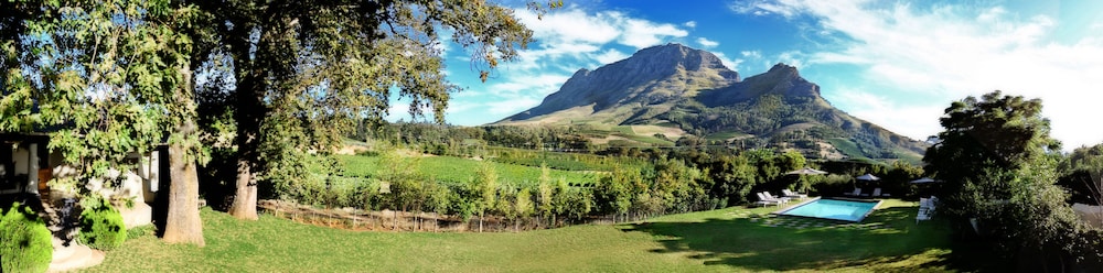 Le Pommier Wine Estate 40/50