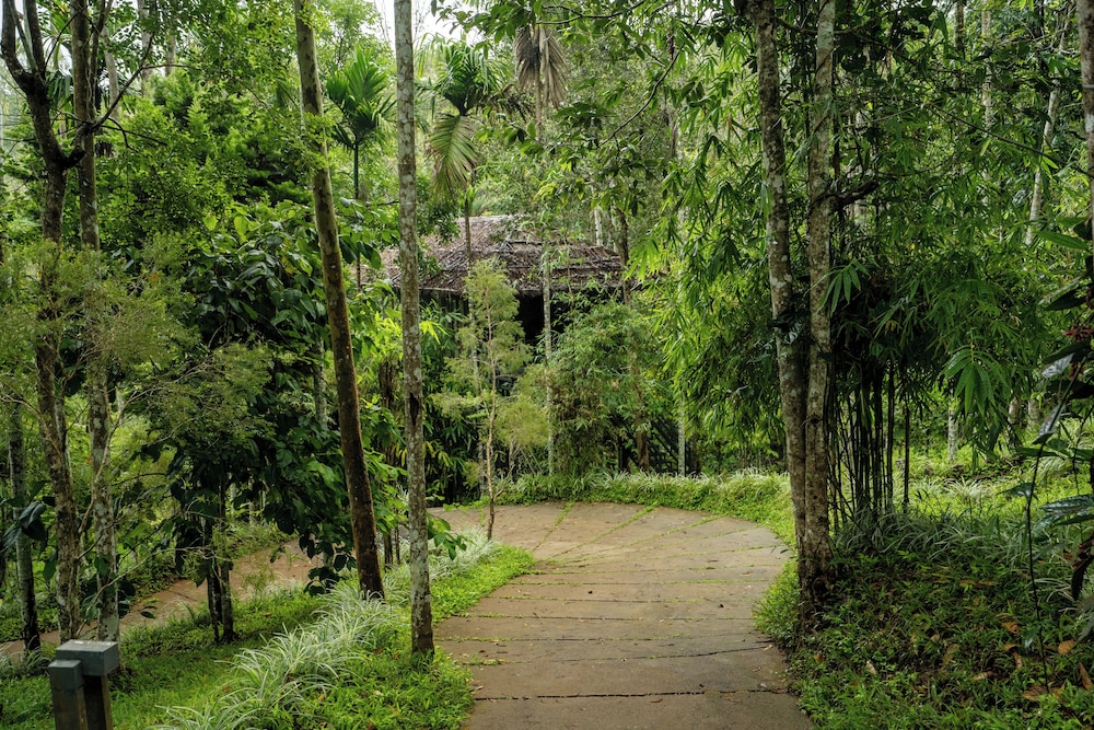The Woods Resort 41/48