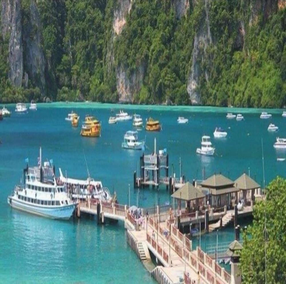 PHI PHI DREAM 29/39