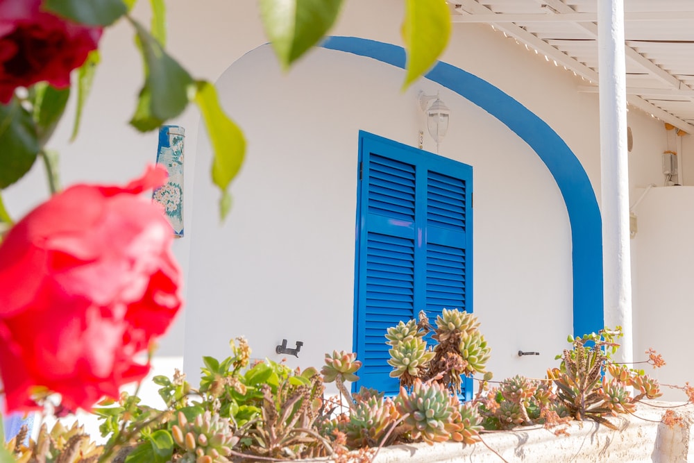 Casa Adolfo Ischia 44/50
