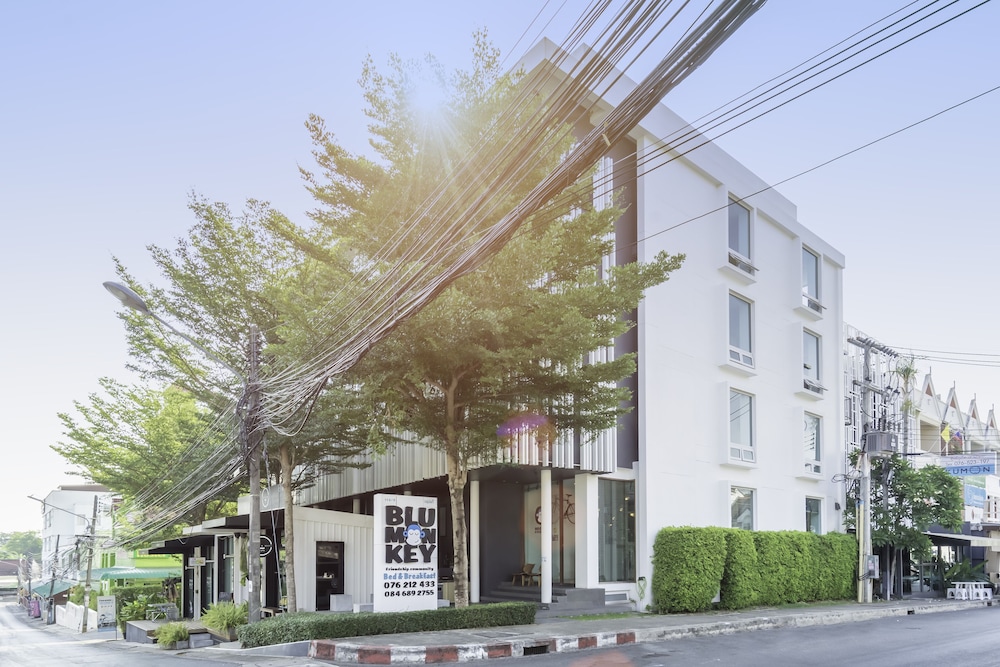Blu Monkey Bed And Breakfast 54/63