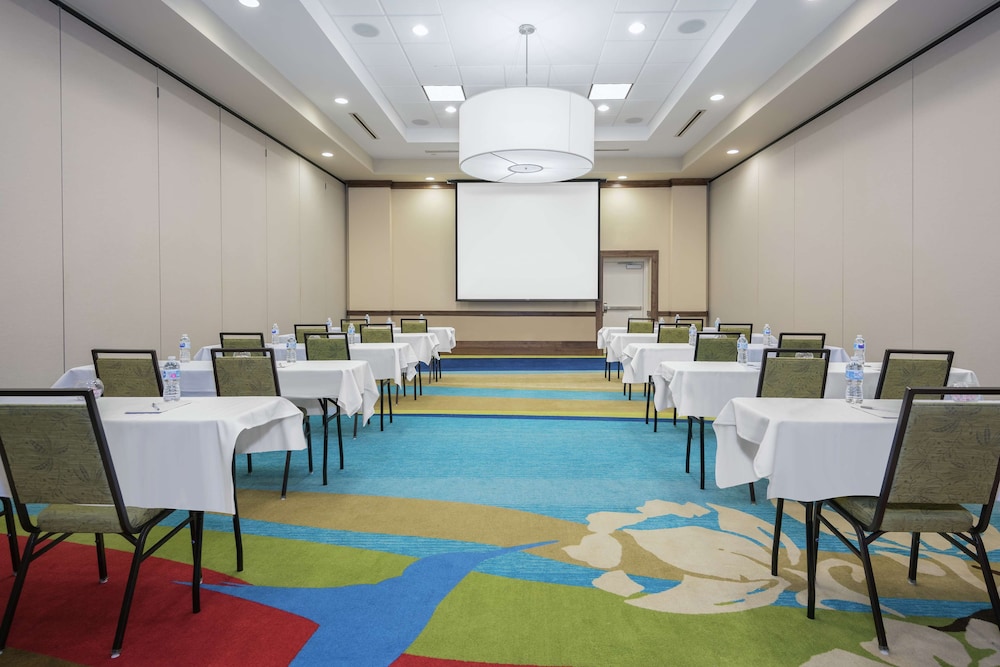 Hilton Garden Inn San Antonio At The Rim 54/55
