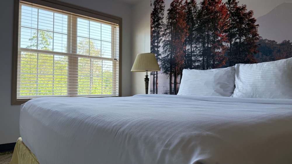 The Willowbrook Village at Lake Harmony, a Wyndham Hotel 14/49