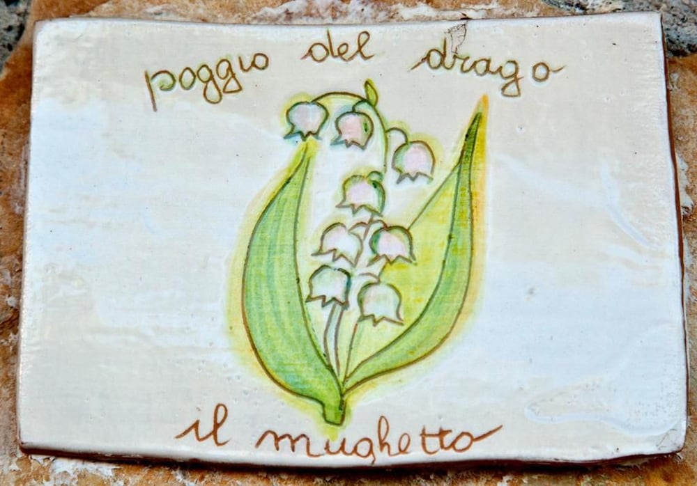 Agriturismo Poggio Del Drago 27/50