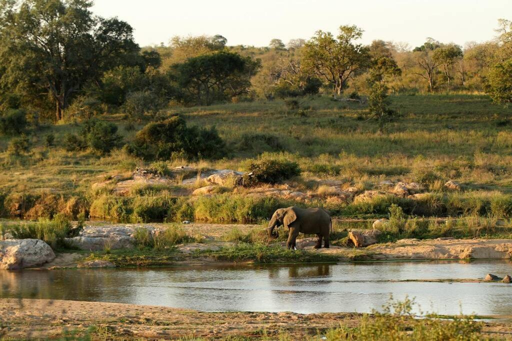 Eden Safari Country House 23/33