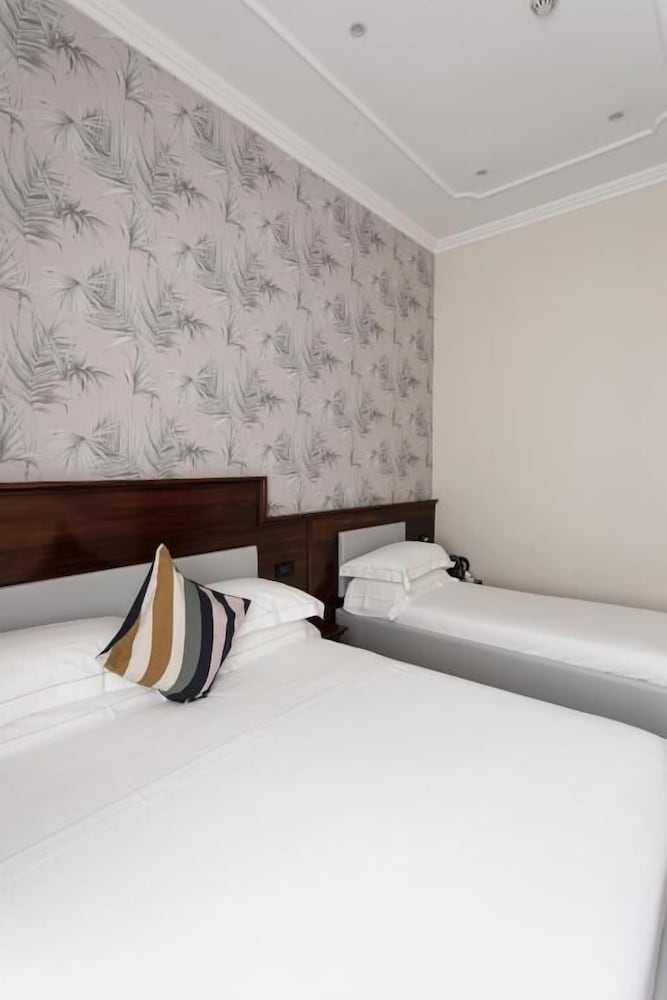 غرفة ثلاثية بسرير مزدوج وسرير فردي بإطلالة على المدينة، Hotel Esposizione Roma 2/3