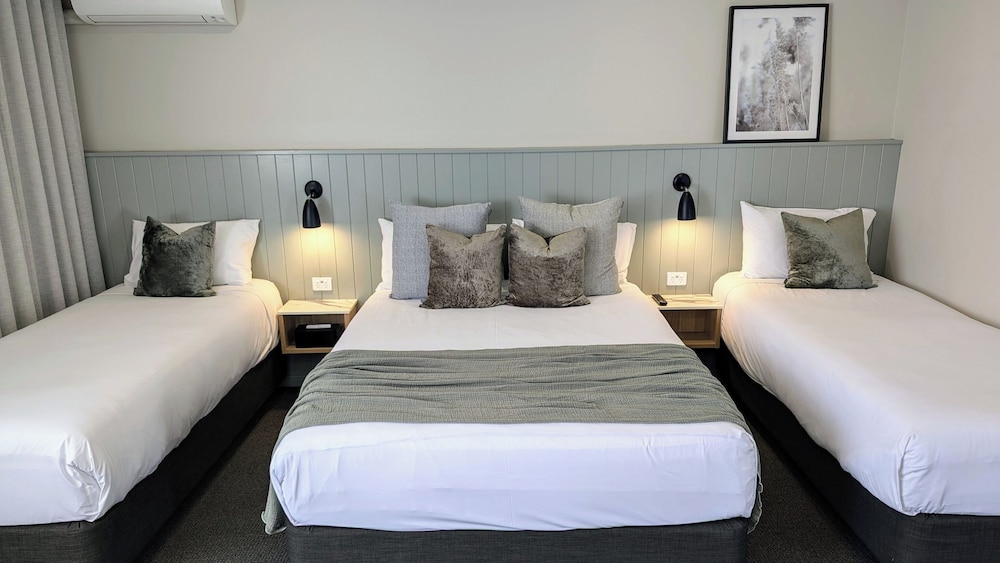 Olive, Studio, Queen and Twin Beds