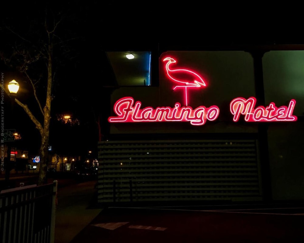 The Flamingo Motel 28/38