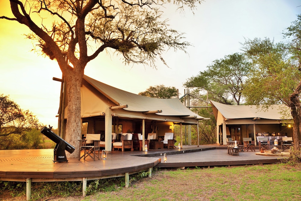 Rhino Walking Safaris 33/41