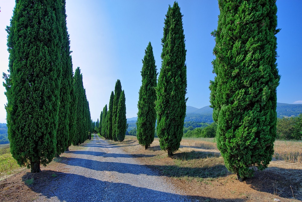 Casale Giulio 15/23