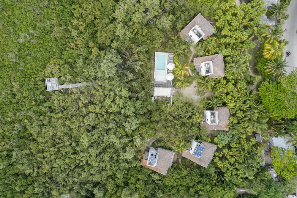 Vida Silvestre Tulum 43/50