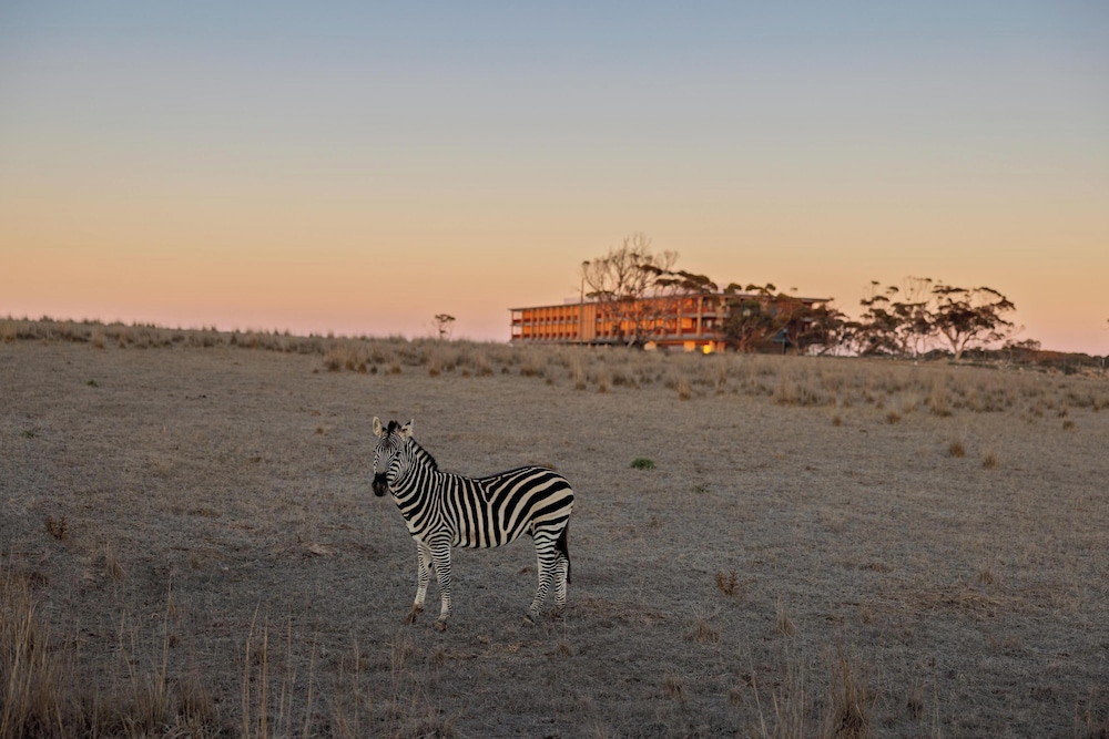 Monarto Safari Resort 43/50