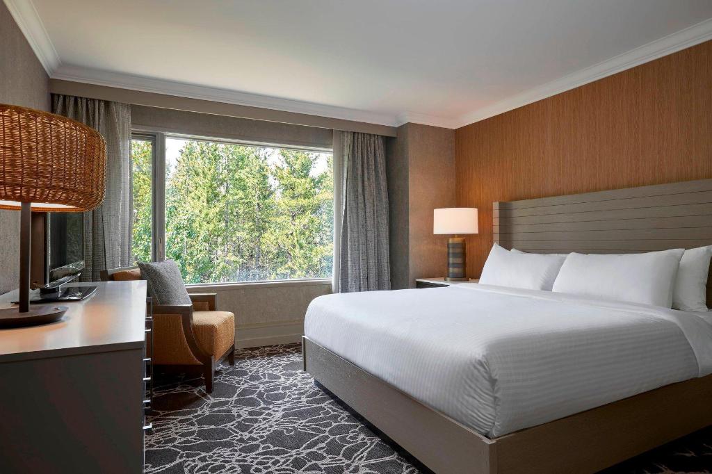 Hospitality, Suite, King Bed