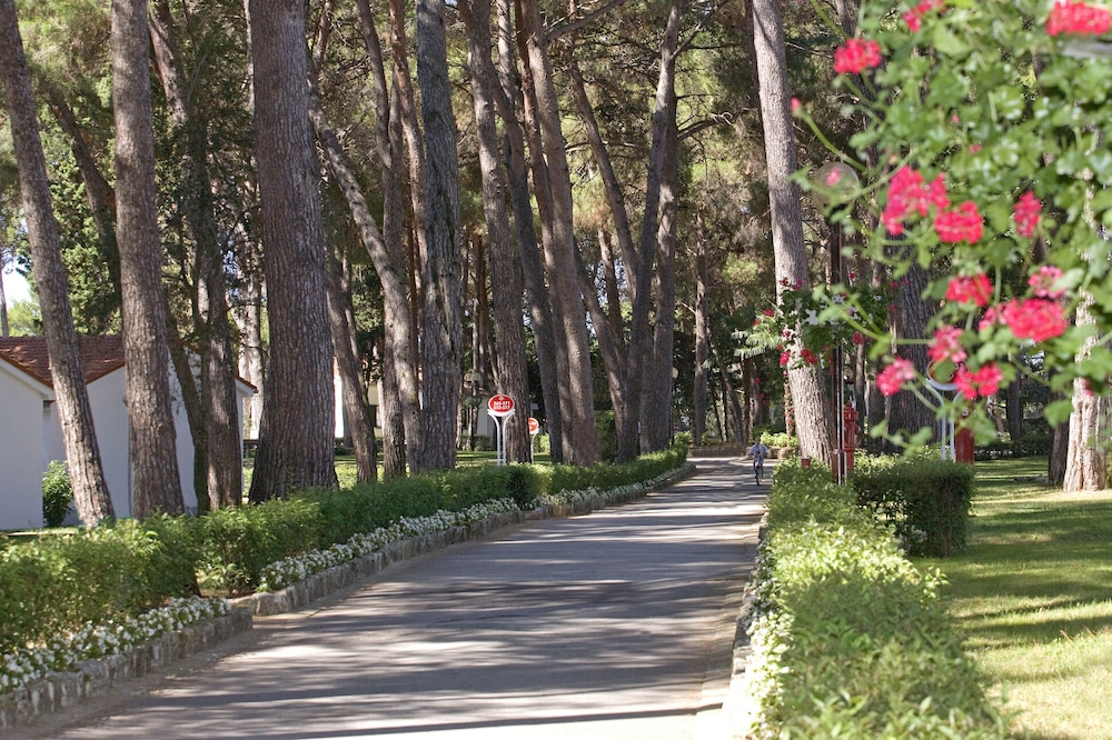 Village Galijot Plava Laguna 26/36