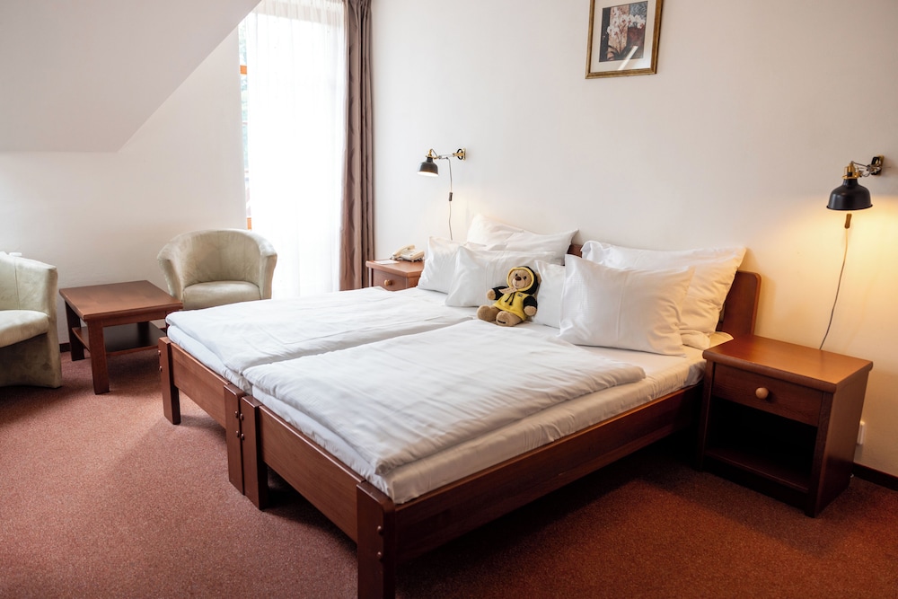 Pytloun Wellness Hotel Hasistejn 15/58