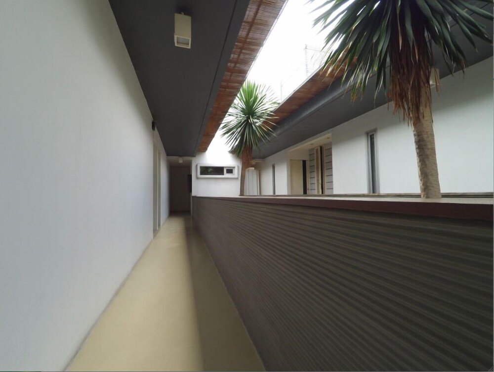 FLAT06. チペテ 写真5