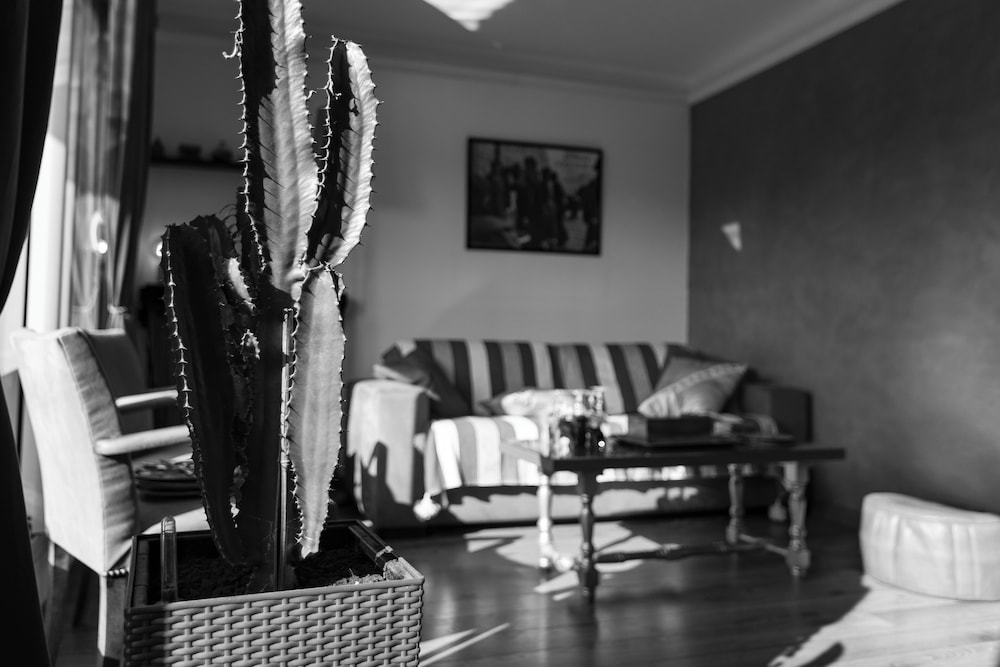 Chambre D'amis 24/44
