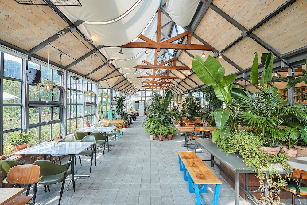 Eden Paradise Hotel 37/63