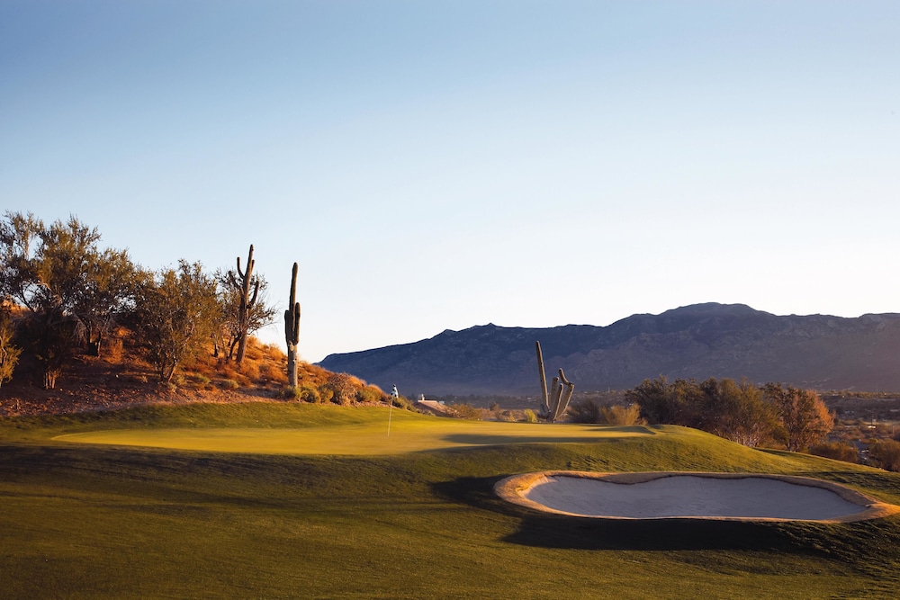Omni Tucson National Resort 24/82