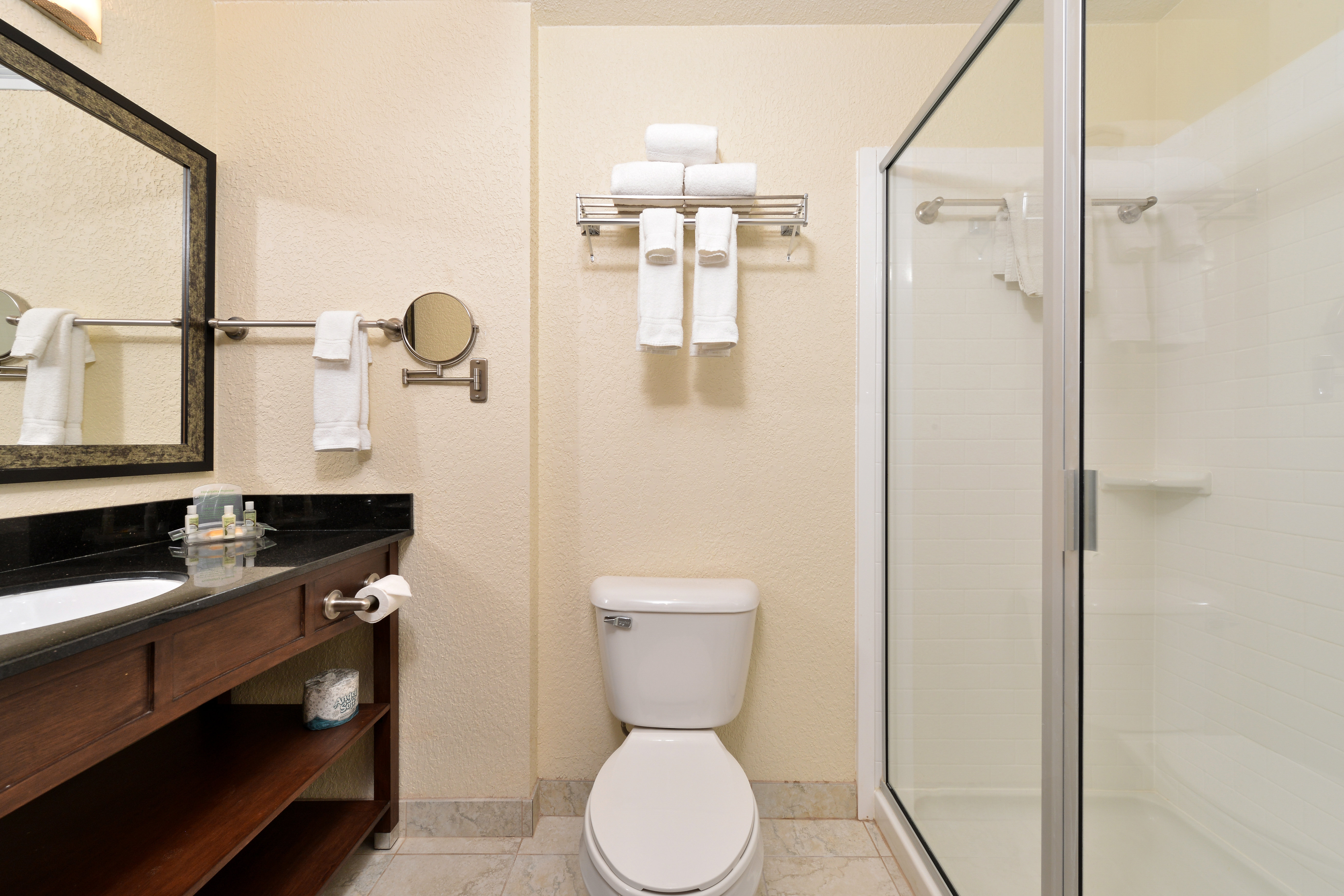 Holiday Inn Montgomery Airport South 80/80