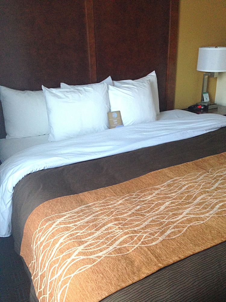 Comfort Inn & Suites Brattleboro I-91 13/47