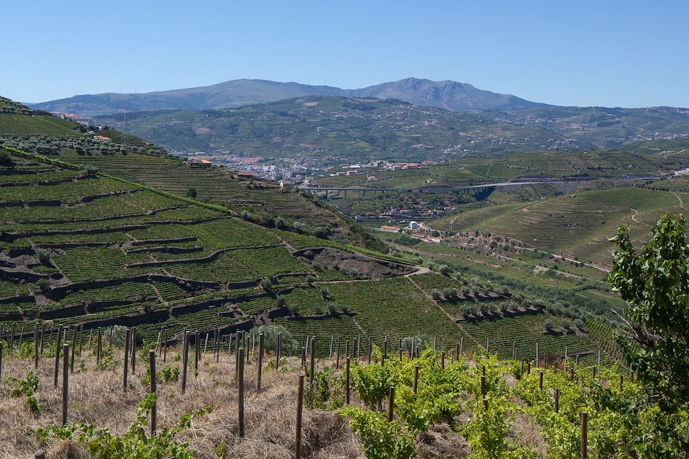 Quinta De Casaldronho Wine Hotel 44/60