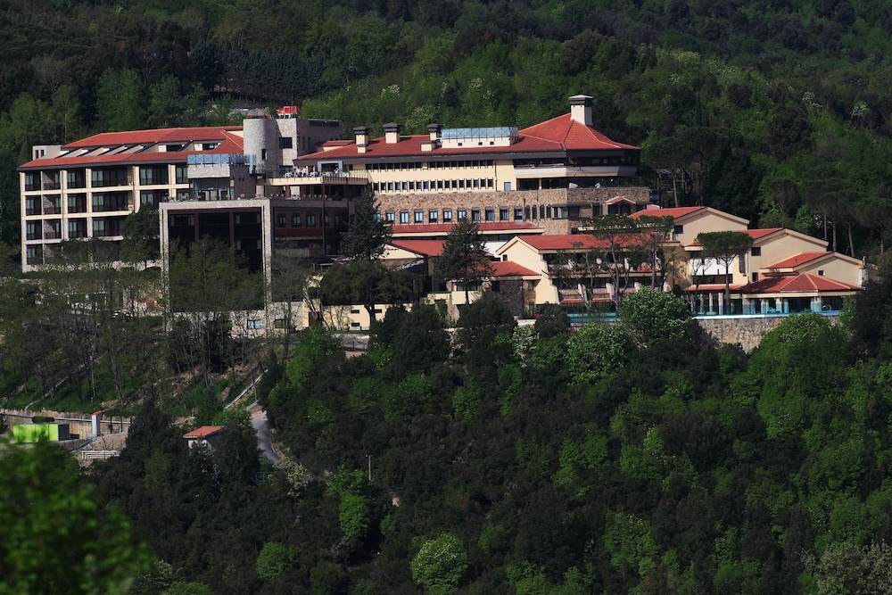 Mercure Petriolo Siena Terme Spa 5/48