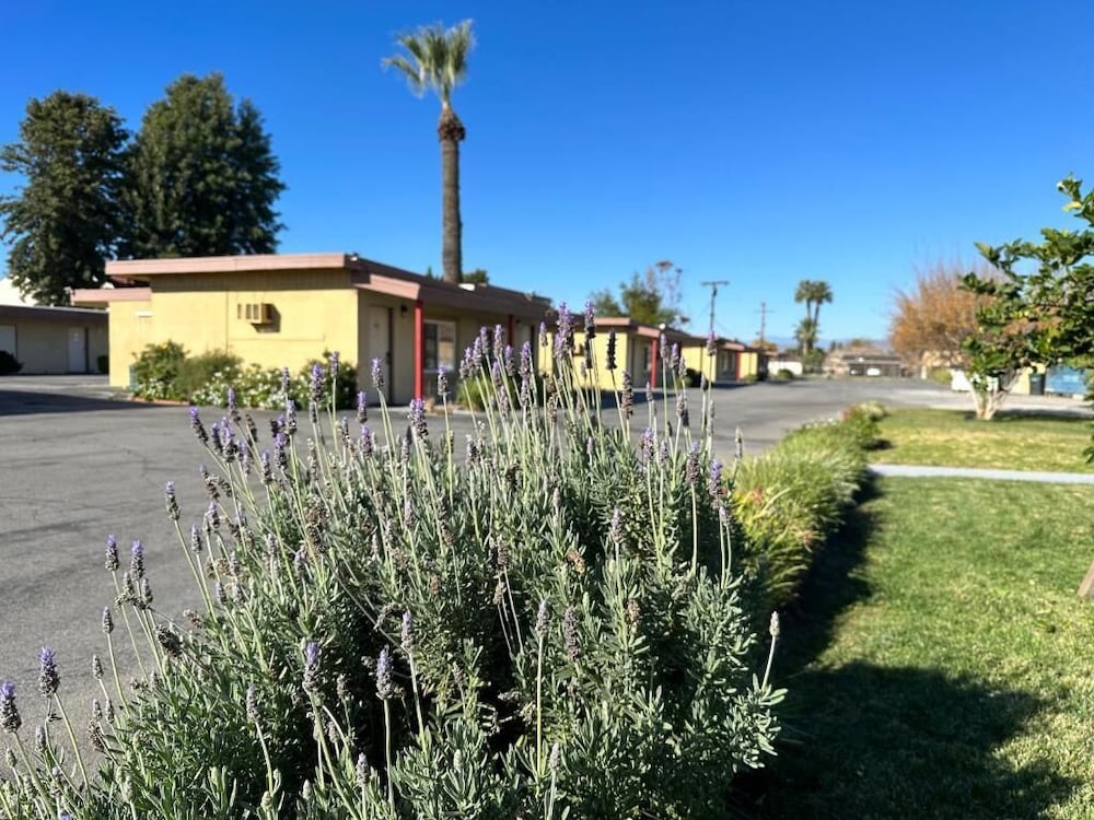 Royal Inn and Suites 36/42