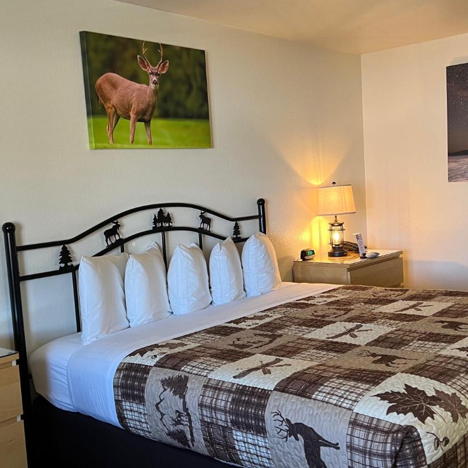 Antlers Inn 14/50