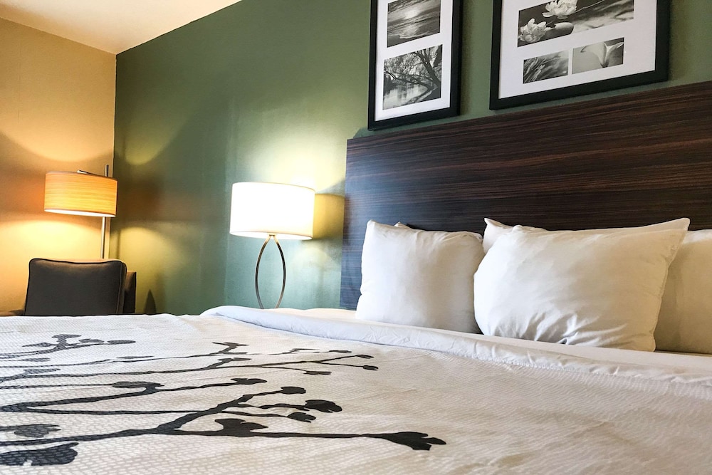 Spark by Hilton Shepherdsville Louisville South 12/43