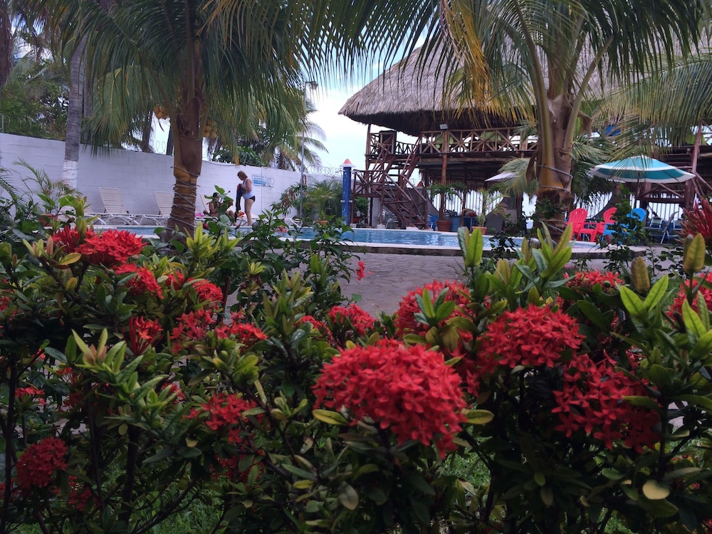 SABAS Beach Resort 60/66