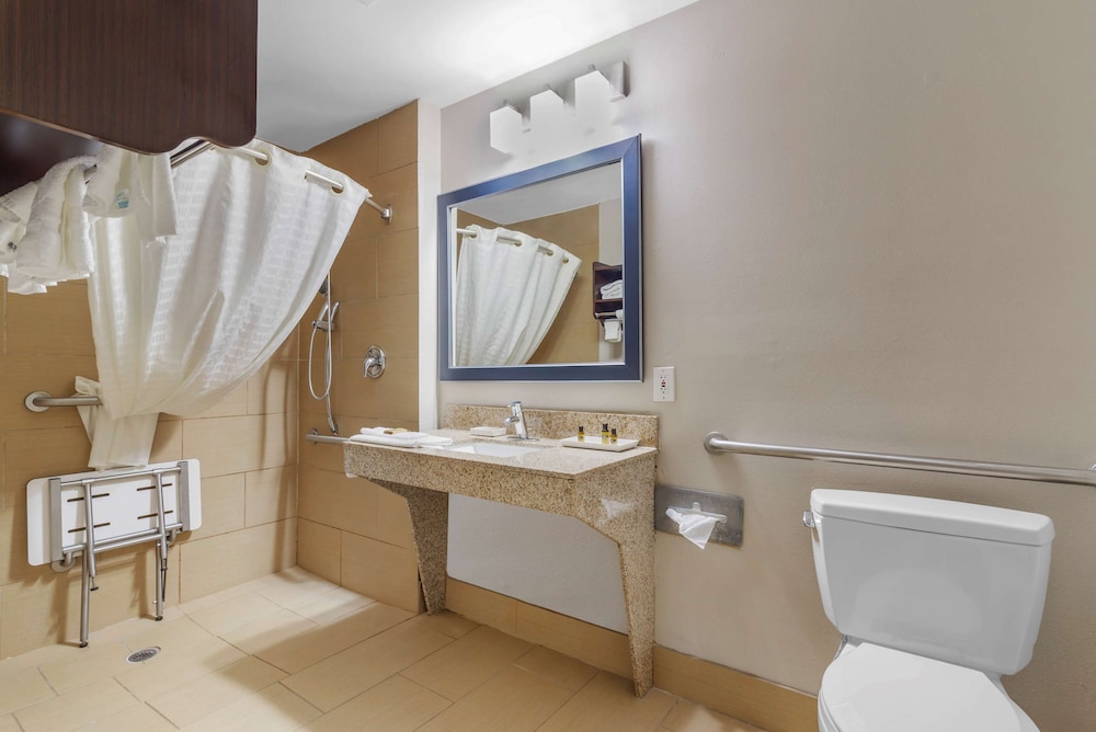 Best Western Plus McDonough Inn & Suites 46/55