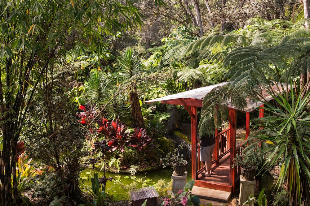 KILAUEA HOSPITALITY GROUP 61/69