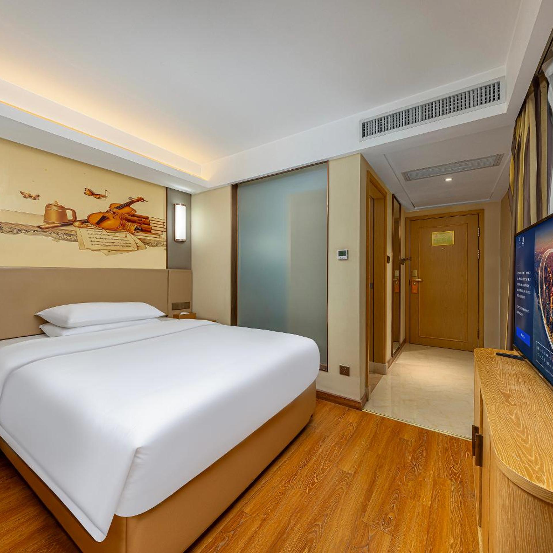 Vienna International Hotel (Xi'an Big Goose Pagoda) 12/51