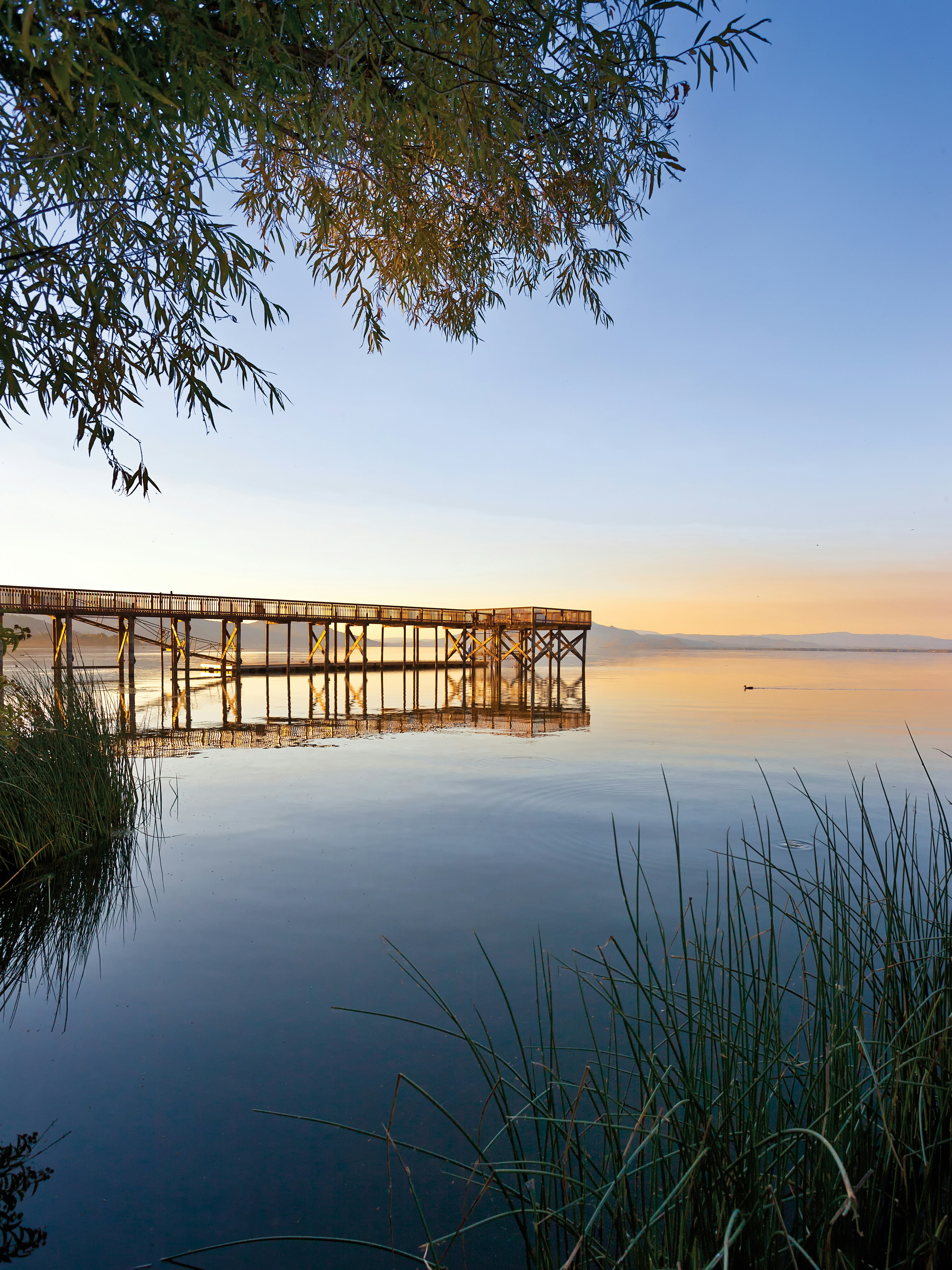 WorldMark Clear Lake 55/65