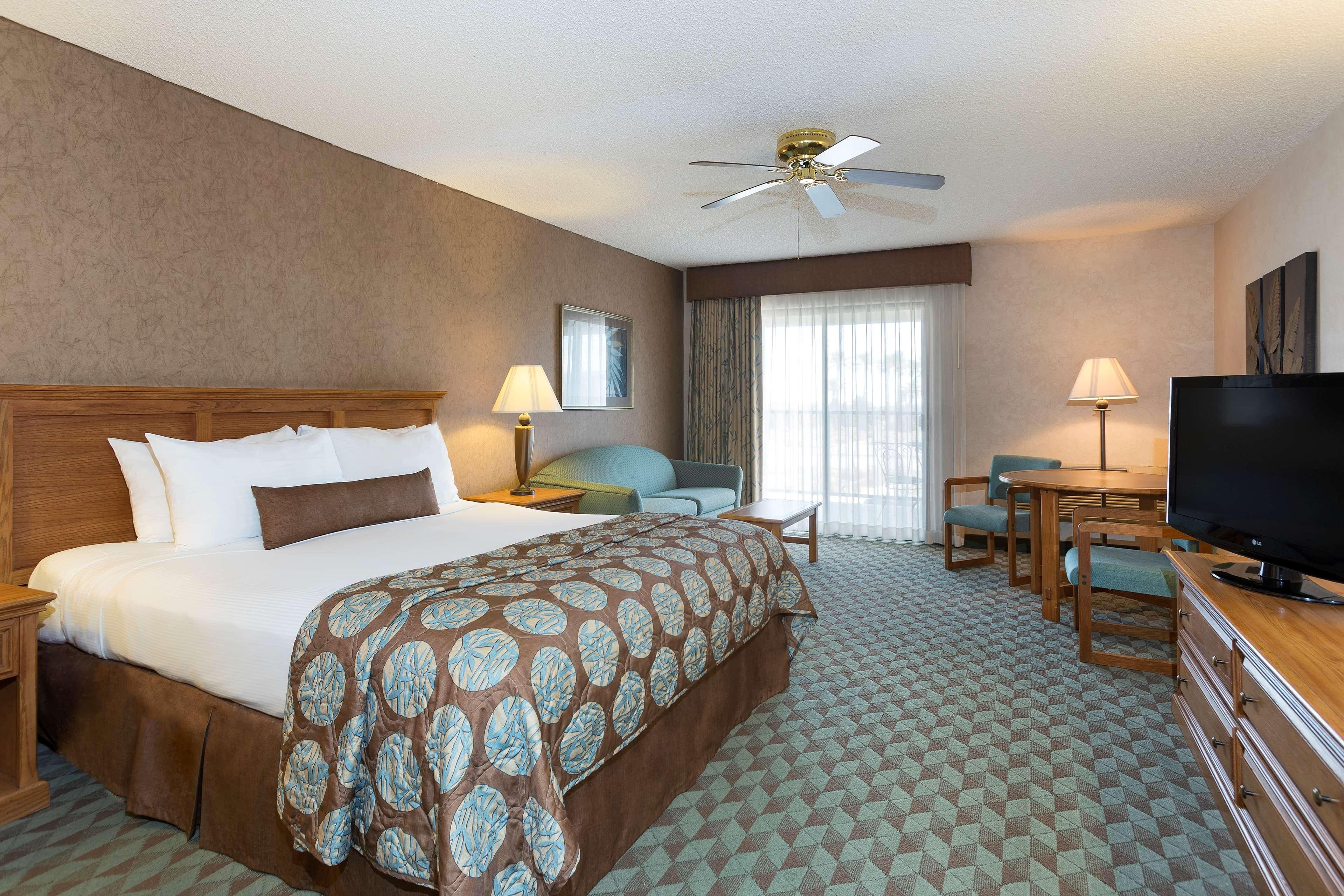 Room, King Bed