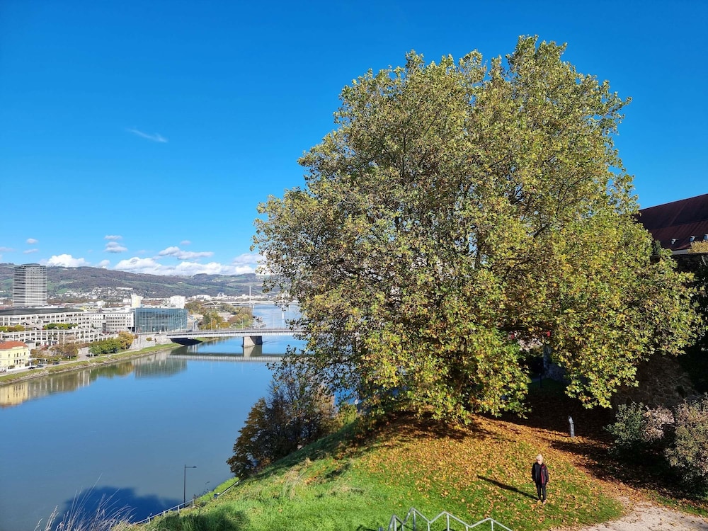 Ibis Styles Linz 40/45