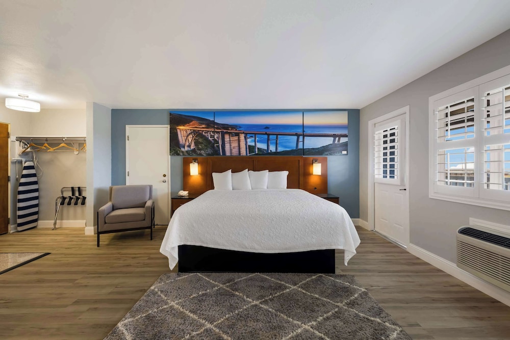 Suite, King Bed