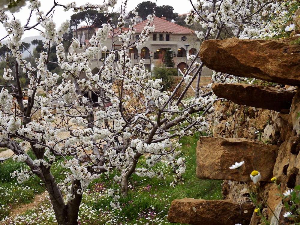 Cherry Blossom Boutique Hotel 61/69