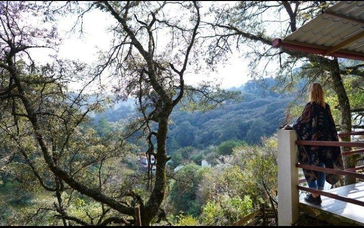 Cabaña El Encino en Real del Monte 35/38