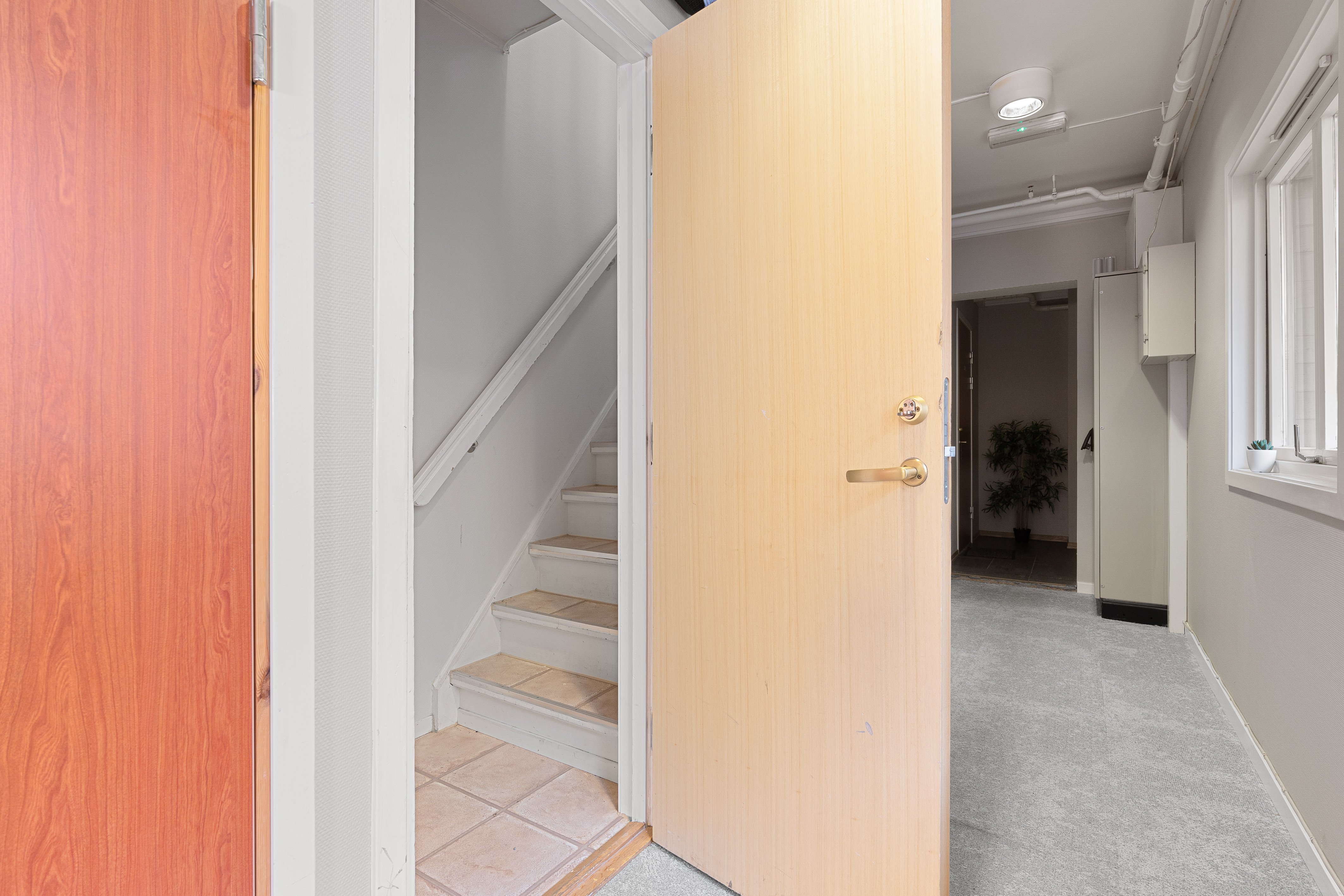 Enter Amalie Hotel 46/79
