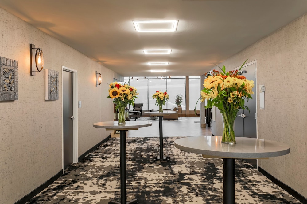 Four Points by Sheraton Amarillo Central 写真4