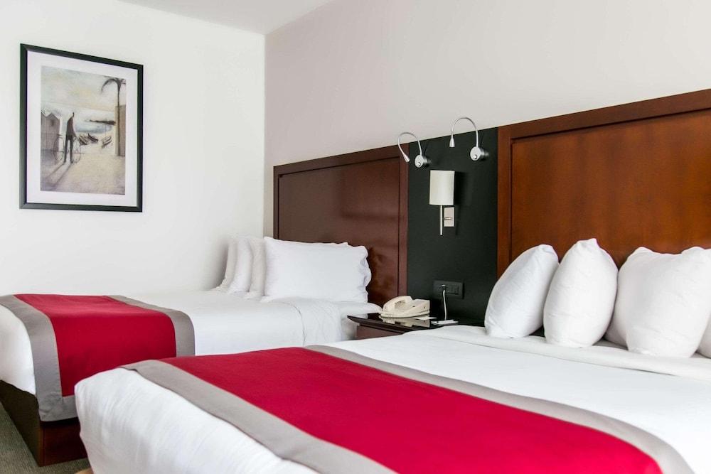 غرفة بريميوم بسريرين مزدوجين، Sheraton Leon 3/10