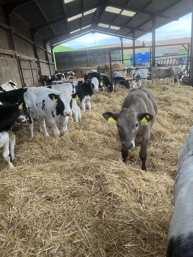 Lower Thornton Farm 29/46