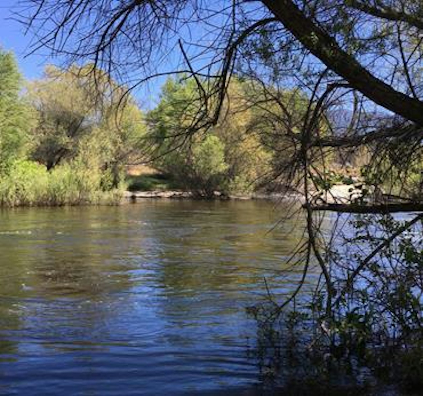 Western Holiday Lodge Three Rivers 37/41