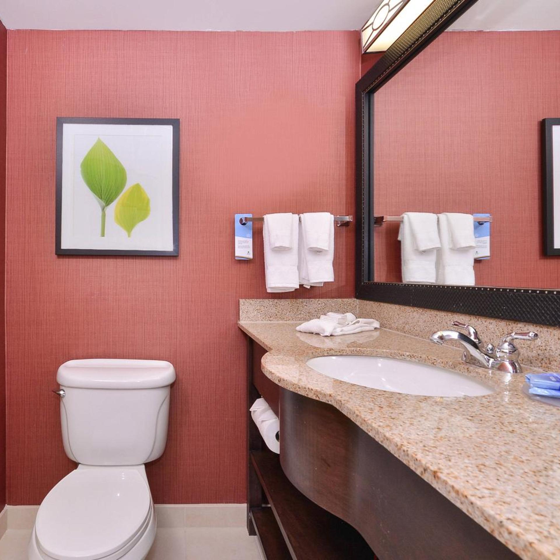 غرفة بسرير كينج بحوض استحمام لذوي الإعاقة، Fairfield Inn Suites Denver Aurora Parker 6/6