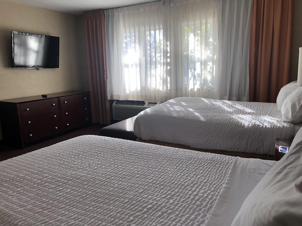 Ivy Court Inn And Suites 20/49