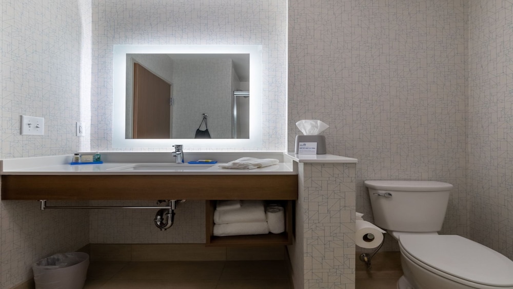 Holiday Inn Express Suites Marion 54/59