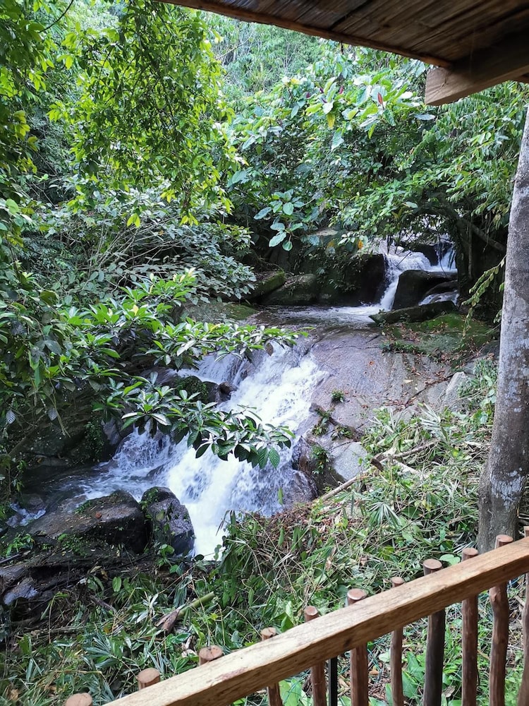 Rain Forest Inn 29/66